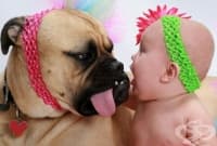 ��� ������ �� ������� �����, ������� �� ����